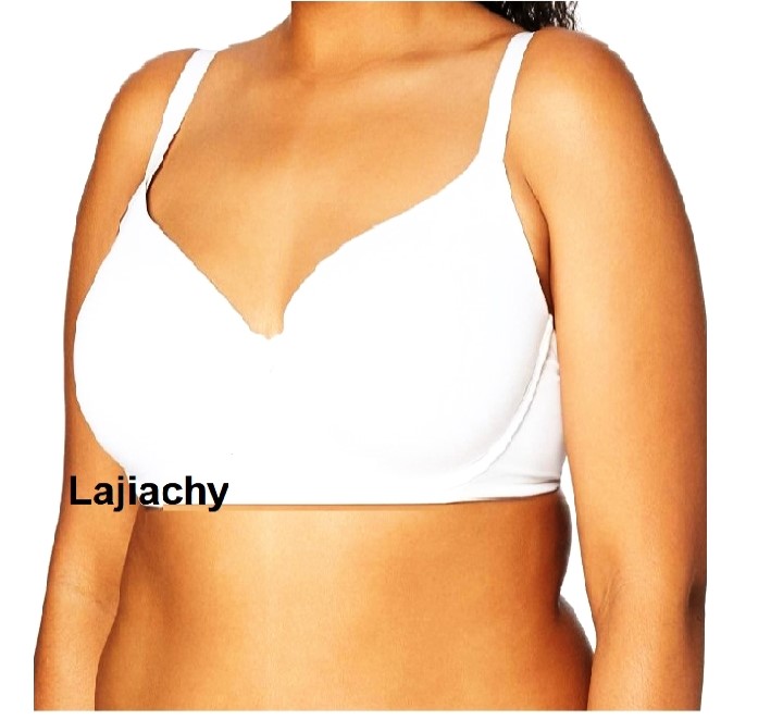 Soft and Comfortable Stretchable Plain Bra for Women